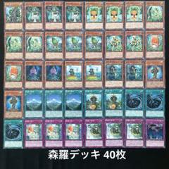 2025年最新】遊戯王 森羅 デッキの人気アイテム - メルカリ