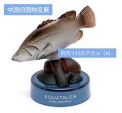 アカメの剥製‼️送料込み‼️高知、四万十川‼️ アカメの剥製‼️送料込み‼️高知、四万十川‼️