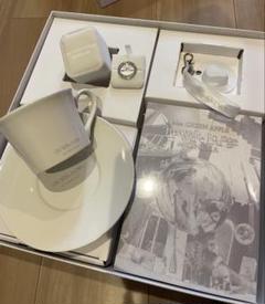 美品】ホワイトラウンジ ミセスグリーンアップル カップ ハット