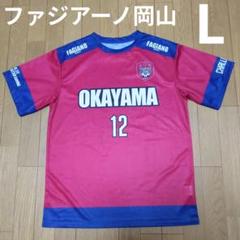 未使用品】ファジアーノ岡山 オーセンティックユニフォーム 2018