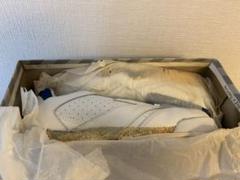 NIKE ジャンク Jordan 10/ air cross trainer