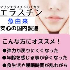 エラスチン 2袋セット