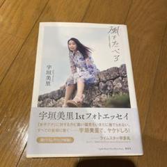 △限定1名様△女子アナ△宇垣美里△切り抜きクリアブック2冊