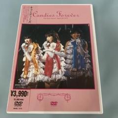 DVD キャンディーズ/CANDIES FOREVER