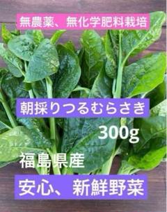 新鮮つるむらさき 14キロ 新鮮 つるむらさき 14キロ（2025年最新】つるむらさき 野菜の