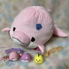 2025年最新】みいるか ゆるいるか ぬいぐるみの人気アイテム