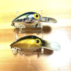 OLD STORM WIGGLE WART 旧型ウイグルワート 《2個セット