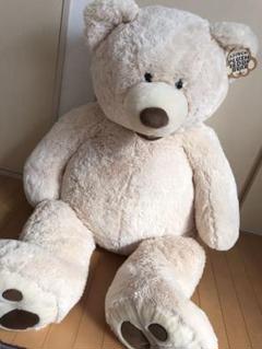 コストコ くま 135cmの中古 未使用品を探そう メルカリ
