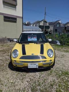 MINIイエロー値下げ