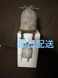 その他 OZWRT the caudexman baobabman OZWRT the caudexman baobabman - メルカリ
