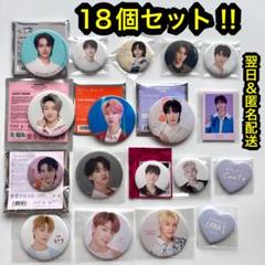 seventeen follow again ジュン ミンハオ 缶バッジ ディノ