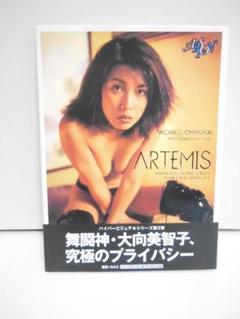 女子プロレスラー 写真集の中古 未使用品を探そう メルカリ