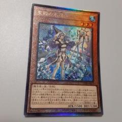 遊戯王　勇者　アラメシアの儀　聖殿の水遣い　レリーフ　シークレット　シク 遊戯王 聖殿の水遣い、アラメシアの儀 セット① レリーフ