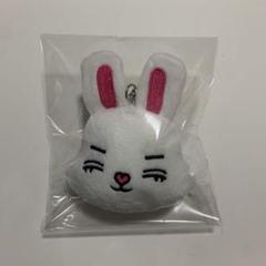 SEVENTEEN スンチョル S. COUPS 5cm ぬいぐるみ 2025年最新】seventeen エスクプス ぬいぐるみの人気アイテム