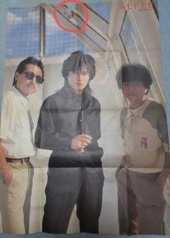 THEALFEEポスター 61qrGqGaltL._UF350,350_QL50_.jpg