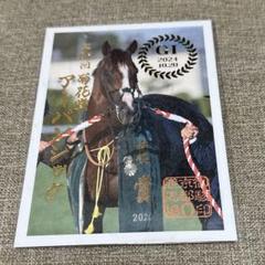 2025年最新】アーバンシック 競馬の人気アイテム - メルカリ