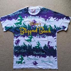 ウォルトディズニーワールド ブリザードビーチ ヴィンテージ Tシャツ ウォルトディズニーワールド ブリザードビーチ ヴィンテージ T