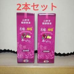 言歩木 柘榴da檸檬 ざくろだれもん 柘榴だ檸檬 500ml×2本セット
