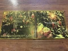 廃盤CD!La'cryma Christi ／ MyStical Glider La'cryma Christi - Mystical Glider [LIVE] - YouTube