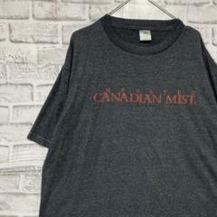 USA製90sヴィンテージTシャツ！シングルステッチ　グレー半袖古着　XL714