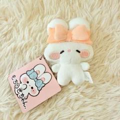 新品 もちうさちゃん. マスコット 全10種 セット ラウンドワン限定 もちうさちゃん. なみの マスコット 全10種 - メルカリ