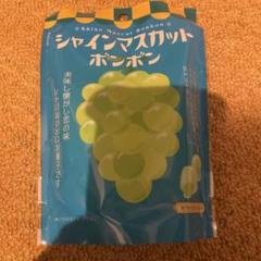 1日限定値下げ シャインマスカットボンボン シャインマスカットボンボン 2袋｜Yahoo!フリマ（旧PayPayフリマ）