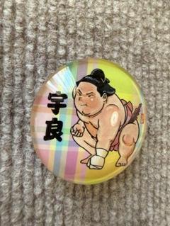 大相撲　宇良関　マグネット　琴剣さん