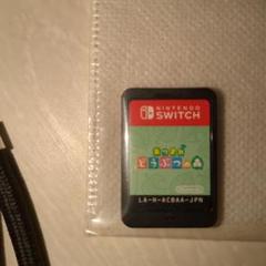 あつまれ どうぶつの森 Nintendo Switch