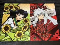 新品】犬夜叉 A5 キャラファイングラフ 弥勒 珊瑚 七宝 雲母