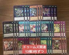 終獄機 ドゥームズ 13種3枚ずつセット　遊戯王