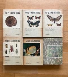 2025年最新】原色昆虫図鑑の人気アイテム - メルカリ