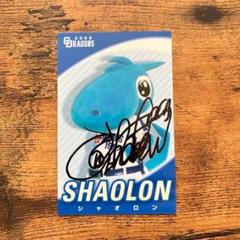 完全直筆！　　中日ドラゴンズ　シャオロンSHAOLON 入場特典カードのサムネイル