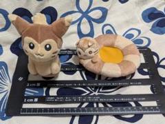 ポケモンドールズハウスぬいぐるみ　オオタチクッション Amazon.co.jp: ポケモンセンターオリジナル ポケモンドールズ