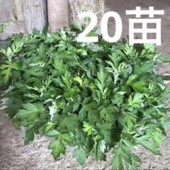 2025年最新】よもぎ苗の人気アイテム - メルカリ