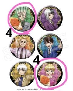 Dr.STONE 石神千空 缶バッジ 30個セット Dr.STONE グランジアート 缶バッジ 石神千空【7月11日締切】【8