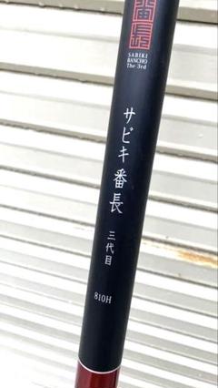 サビキ釣りに最適な釣竿　サビキ番長三代目　810H 31H95R8q6bL.jpg_BO30,255,255,