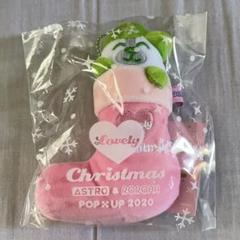 ASTRO ぬいぐるみ ジンジン トゥトゥ クリスマス 新品未開封 ASTRO ぬいぐるみ ジンジン トゥトゥ クリスマス 新品未開封