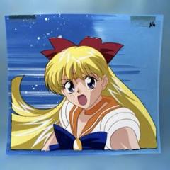 わ*ぷ様 美少女戦士 セーラームーン セル画 セーラーヴィーナス 美少女戦士 セーラームーン セル画 セーラーヴィーナス - メルカリ