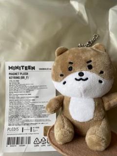 チャンダリ ペンライトカバー トレカケース　マグネットキーリング　ディノ チャンダリ ペンライトカバー トレカケースマグネットキーリング