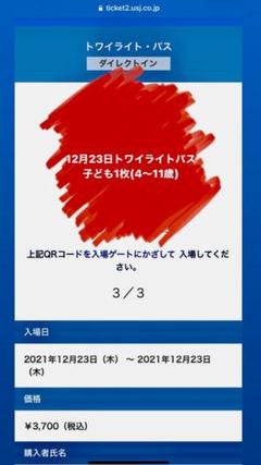 男性に人気 Usj チケット 大人2枚 12 25 土 トワイライトパス 遊園地 テーマパーク