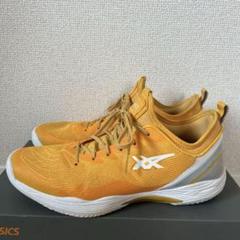 asics × ballaaholic　GLIDE NOVE FF2 28cm m50853743084_1.jpg?1742130676