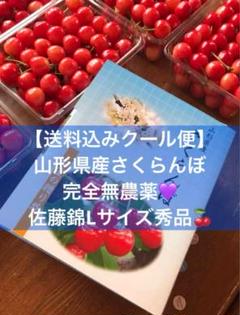 送料込みクール便】500g✖️4セット 2キロ宛先同一佐藤錦手詰め