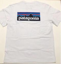 パタゴニア ポケット Tシャツ