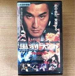 対訳付 国内盤★黒豹HEI BAOブラックパンサーⅥ自由になりたい 不能譲我的～ 黒豹樂隊 無地自容 BLACK PANTHER HEI BAO 中国盤