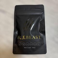 獣王BEASTビースト　新品 獣王 ビースト」の人気商品一覧 | 安い商品を通販サイトから探す