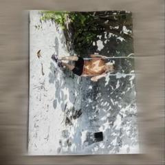 CR Crazy Raccoon ふらんしすこ　写真集　直筆サイン入り CR Crazy Raccoon ふらんしすこ 写真集 直筆サイン入り