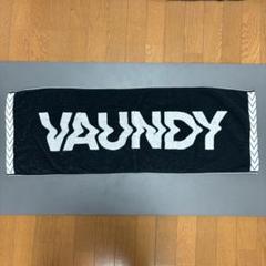 【未開封】VAUNDY KATARIBE マフラータオル 2025年最新】vaundyタオルの人気アイテム - メルカリ