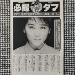 特別セーフ 渡辺美里 雑誌 / プリプリジッタリンジン 小比類巻かほる ミュージシャン