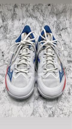 【極美品】MIZUNO ミズノウエーブクローNEO2FIT バドミントンシューズ
