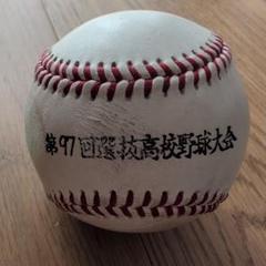 m17266070376_1.jpg?1743643125